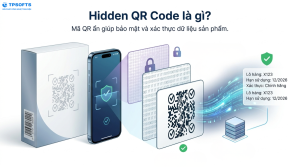 mã QR ẩn